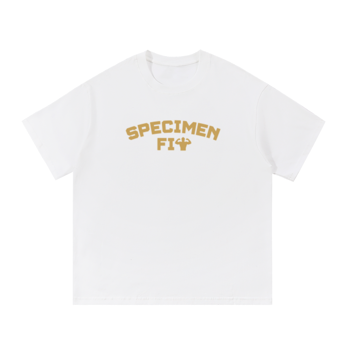 Specimen Fit Cotton T-Shirt